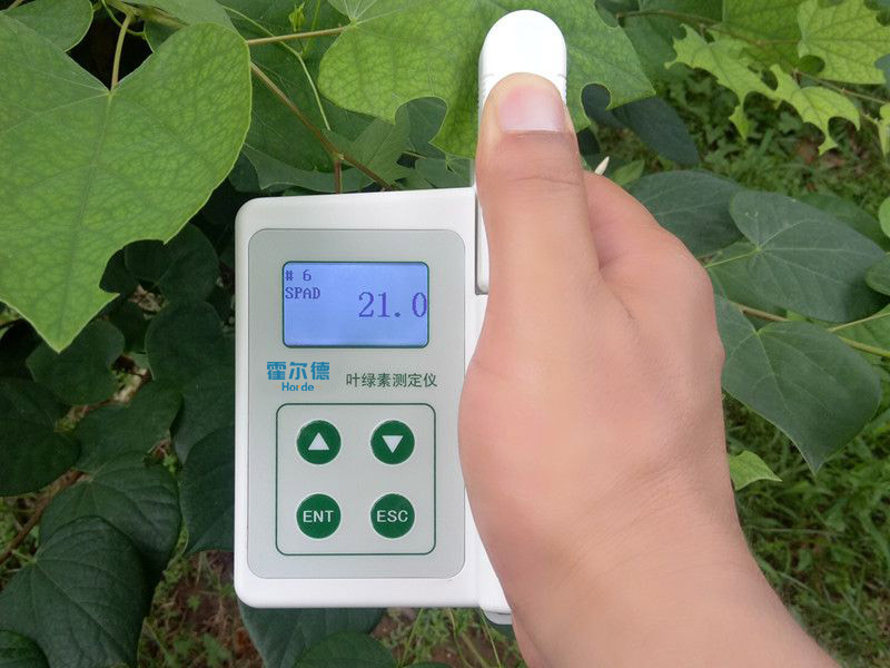 葉綠素含量測定儀具備哪些功能?