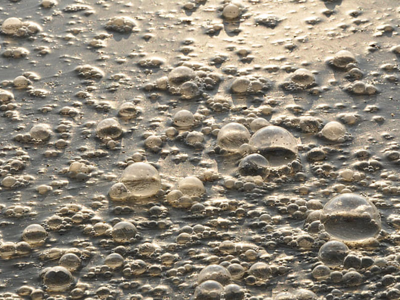 在線水質監測系統可用于生活廢水監測