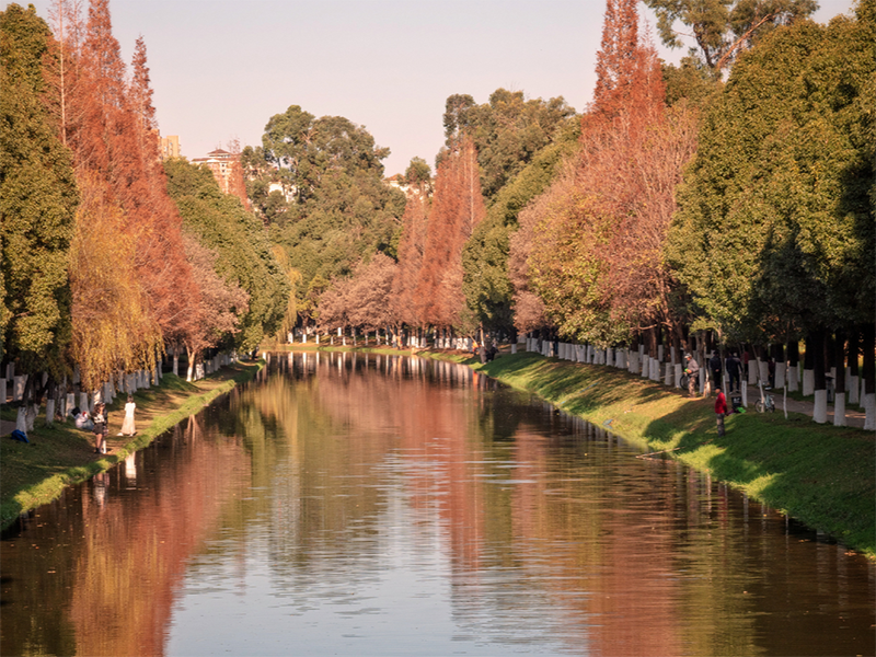 水質檢測儀 水質檢測儀