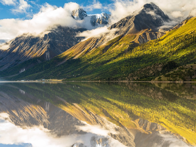 生物毒性檢測儀價格 生物毒性檢測儀價格