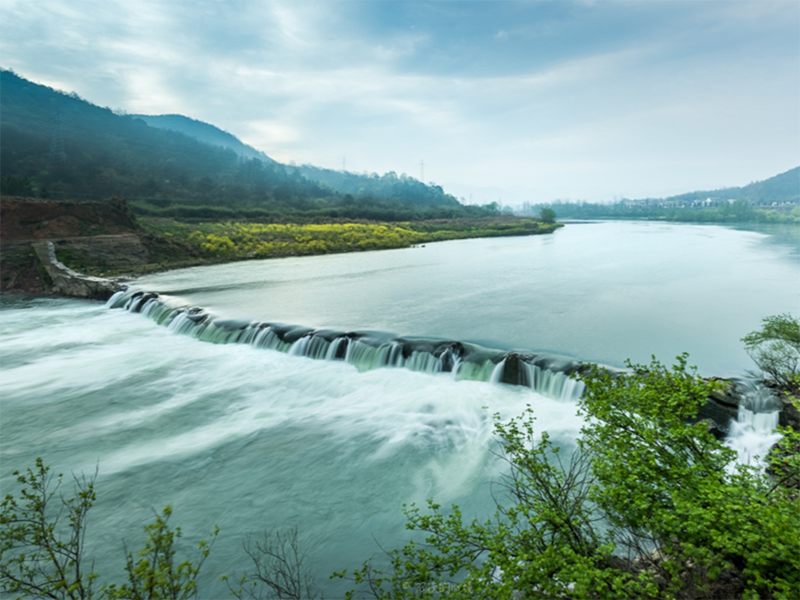 生物毒性檢測儀 生物毒性檢測儀