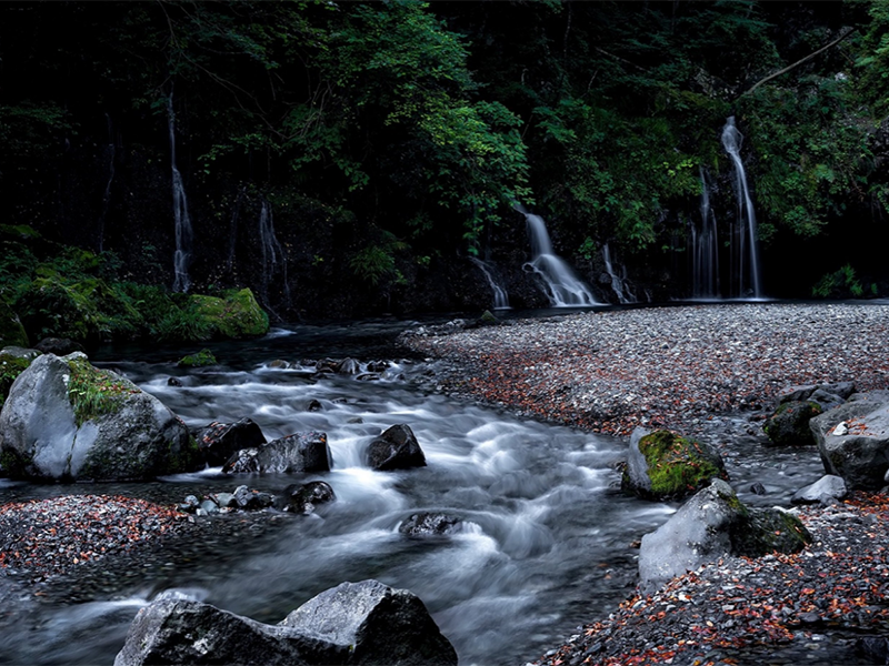 水質(zhì)生物毒性檢測儀作用（生物毒性檢測儀功能特點(diǎn)）