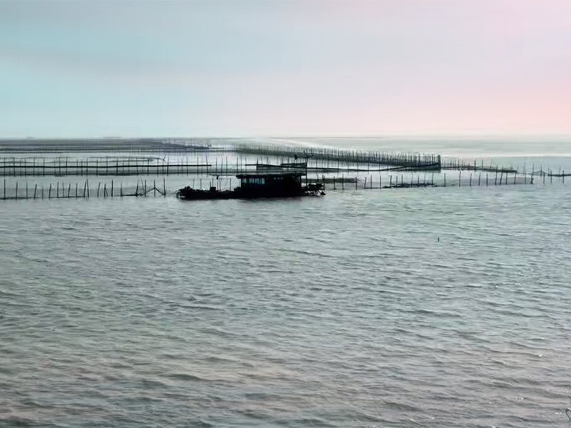 養魚水質檢測項目 養魚水質檢測項目