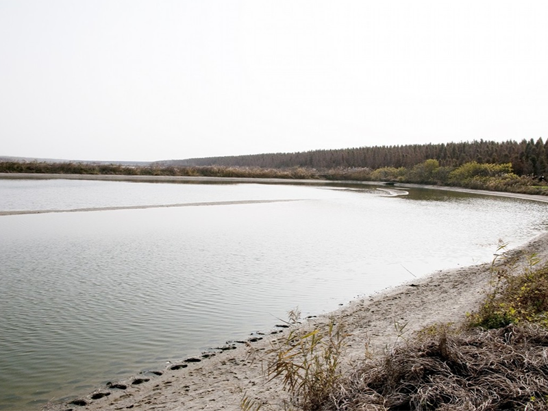 水質總磷檢測儀原理 水質總磷檢測儀原理