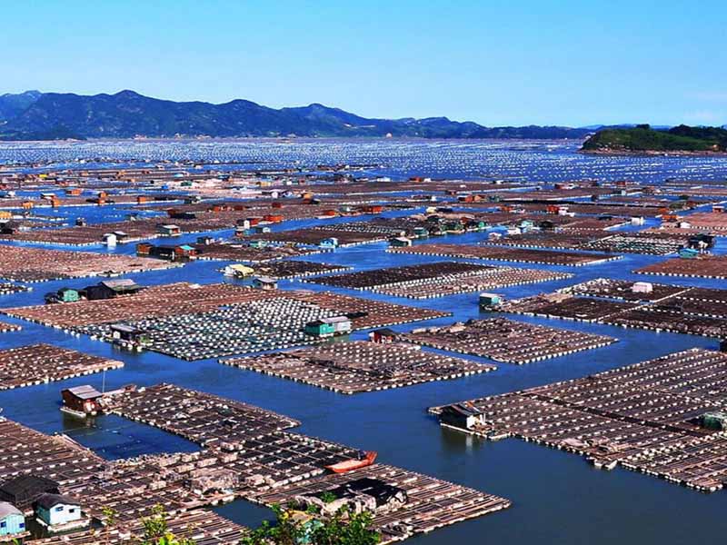 水產(chǎn)養(yǎng)殖二氧化氯使用方法（水產(chǎn)養(yǎng)殖二氧化氯使用誤區(qū)）