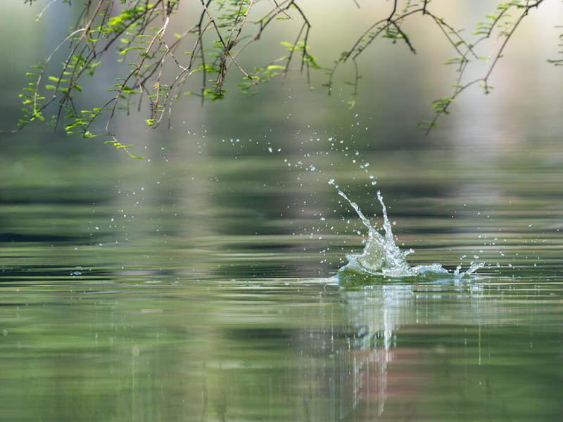全國地表水水質優良斷面比例為84.9%