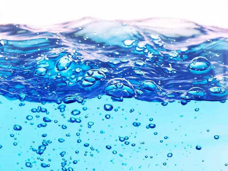 海洋生物水質基準推導技術指南解讀 海洋生物水質基準推導技術指南解讀