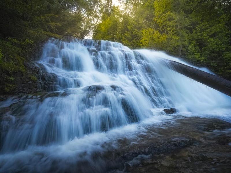 水質生物毒性檢測儀應用的必要性 水質生物毒性檢測儀應用的必要性