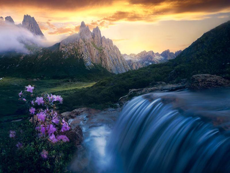 糞大腸菌群檢測標準