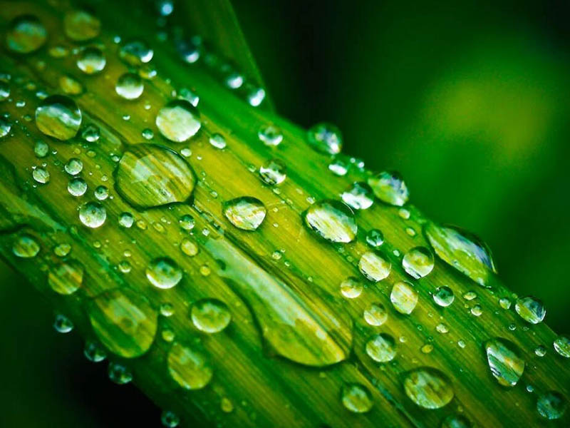 COD是什么污染物（COD檢測國家標準）