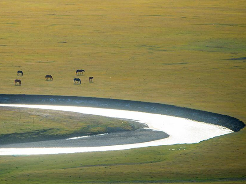 水質BOD檢測儀器推薦（水質BOD檢測具體步驟）
