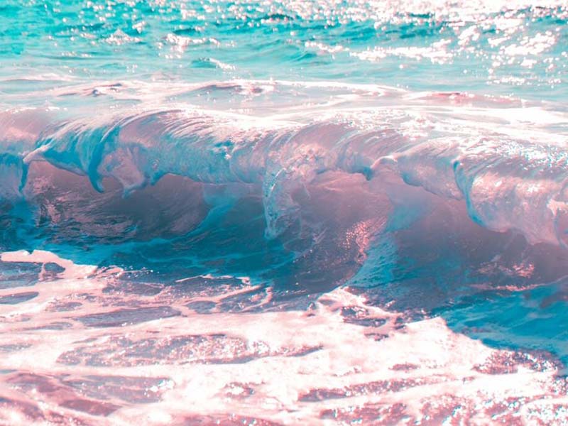 為什么要檢測水質總大腸菌群（水質總大腸菌群是什么）