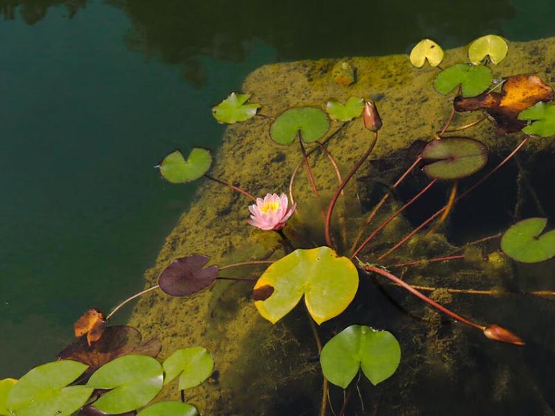 水產養殖水質檢測的重要性（水產養殖水質檢測標準）