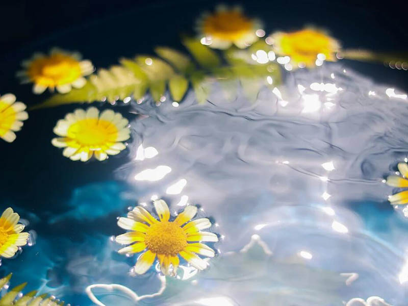 在線氨氮測定儀的應用