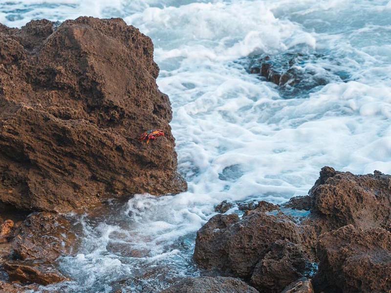 如何驗證水質測定儀的性能（水質測定儀驗證步驟）