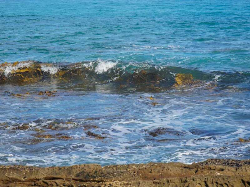 水質檢測中的TOC是什么（水質TOC測定方法及步驟）