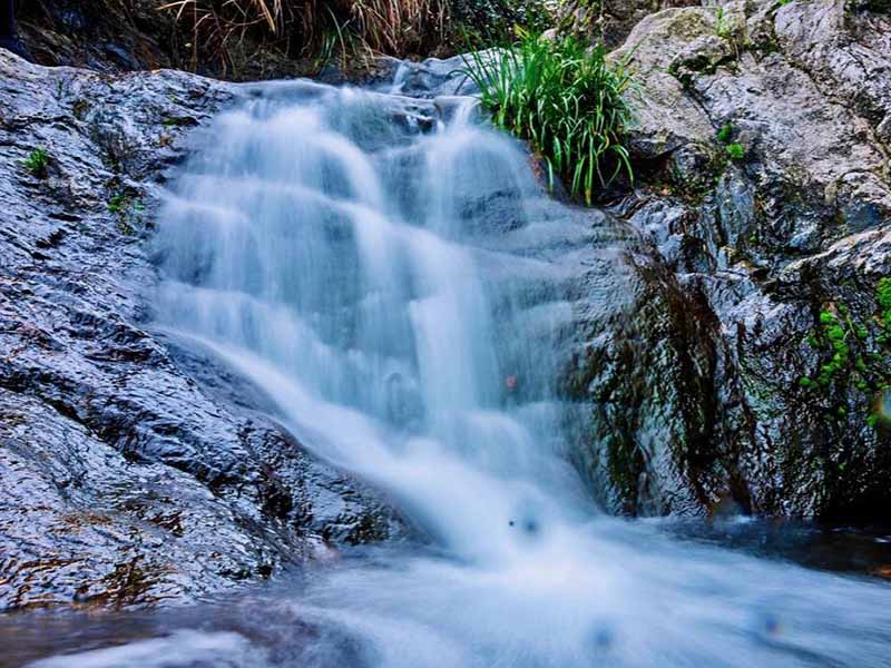 硫化物酸化吹氣儀使用方法(硫化物酸化吹氣儀原理)