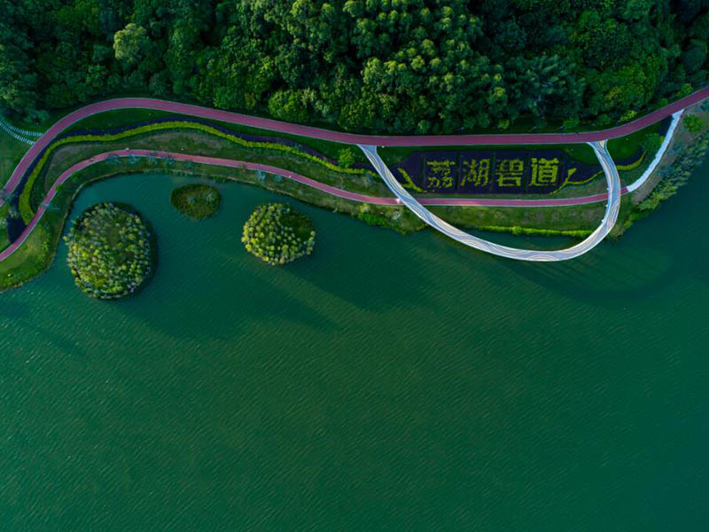酶底物法檢測糞大腸菌群的原理(水質糞大腸菌群的檢測流程)
