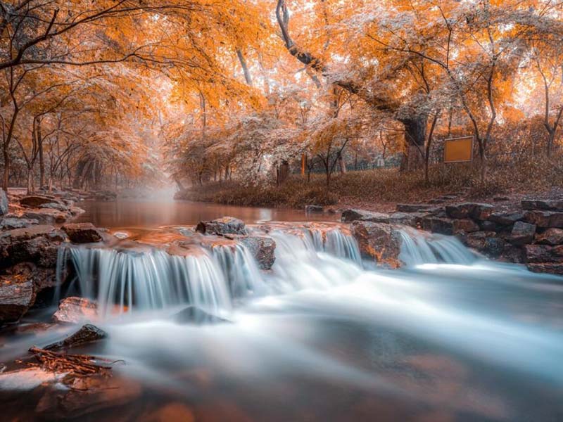 手持式總磷檢測儀使用方法(手持式總磷檢測儀原理)