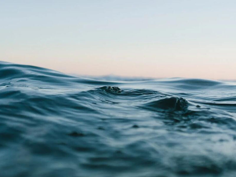 入海河流總氮管控現狀(海洋總氮治理要求與方法)