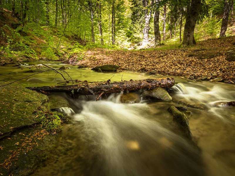COD檢測儀怎么標定(COD檢測儀校準內容及注意事項)