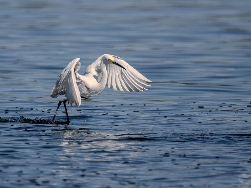便攜式多參數水質檢測儀多少錢（便攜式多參數水質檢測儀參數指標）