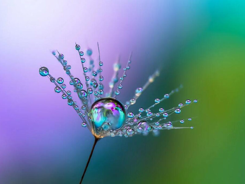 便攜式水質重金屬檢測儀使用方法（水質重金屬檢測儀操作注意事項）