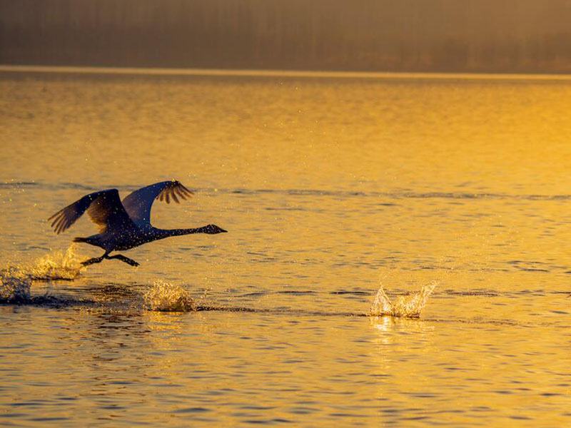 水產(chǎn)養(yǎng)殖水質(zhì)檢測儀說明書（水產(chǎn)養(yǎng)殖水質(zhì)檢測儀使用方法圖解）