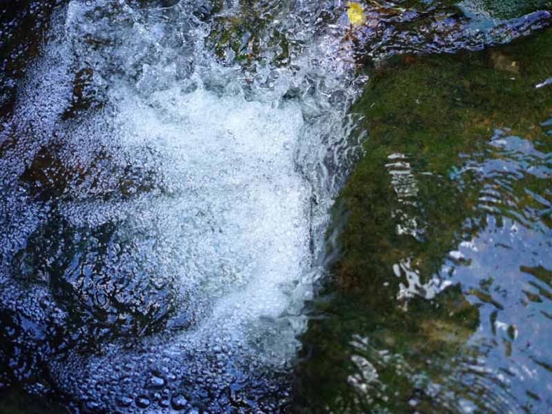 水體重金屬檢測方法(水體重金屬污染現(xiàn)狀與治理方法)