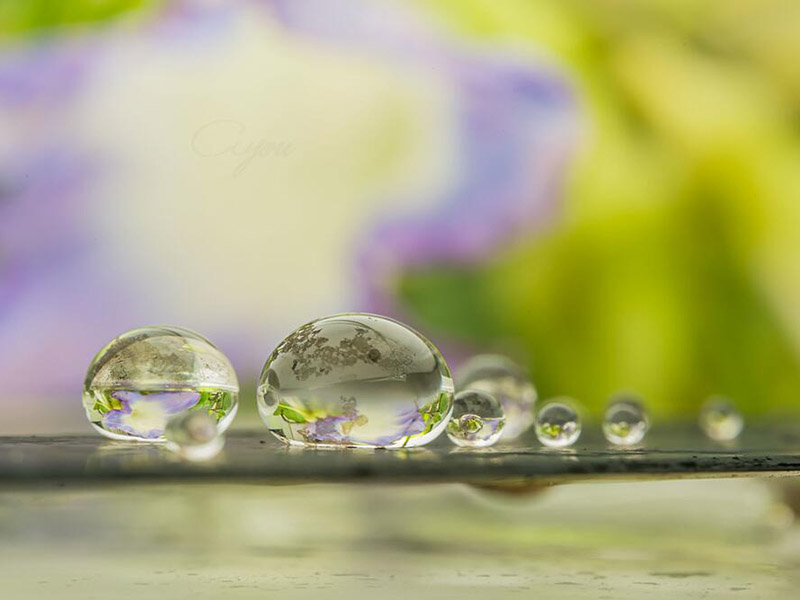 水質(zhì)測定儀主要功能(水質(zhì)測定儀常見分類)