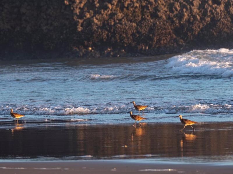 雨天溢流污水濃度高如何應對（雨天和晴天執行不同污水排放標準可行嗎）