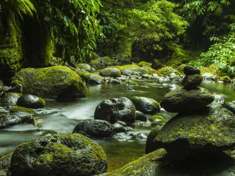 總磷檢測儀常見故障及處理方法（總磷檢測儀檢測原理）