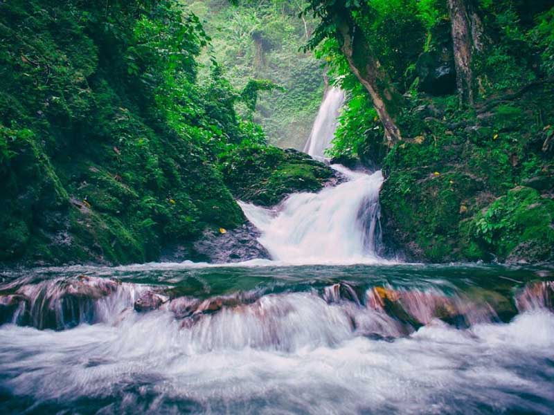 2024年第二季度全國地表水環境質量狀況（地表水主要污染指標）