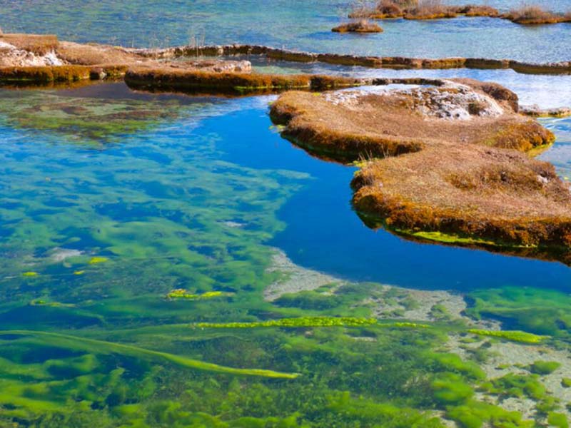 水中葉綠素是什么(水質葉綠素監測方法)