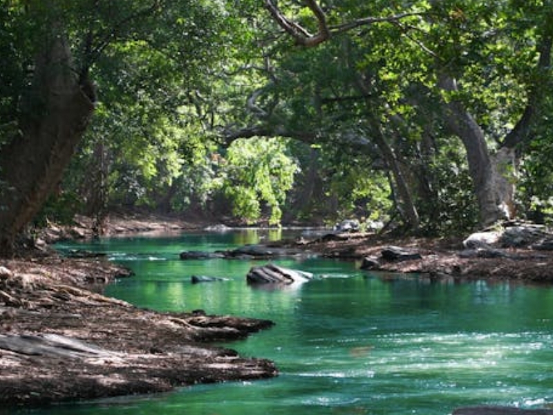 臭氧在水處理中的作用（水質臭氧檢測儀的工作原理）