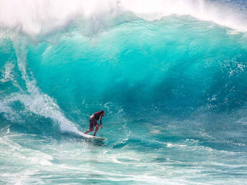 生物毒性檢測儀和熒光儀有什么區別？（生物毒性檢測儀原理）
