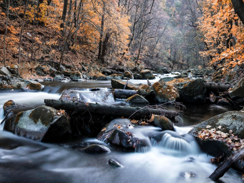有效氯在水質消毒中的應用（?有效氯檢測儀在水質監測方面的作用）