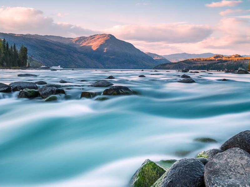 什么是生物毒性（如何實施水質生物毒性在線監測）