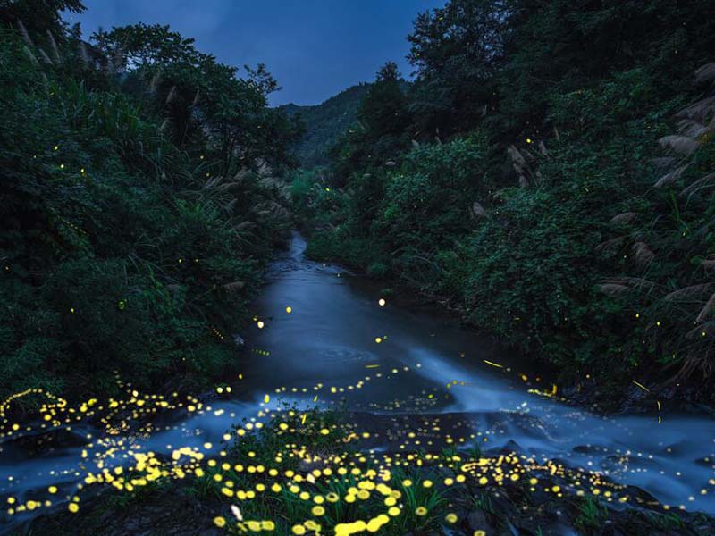 消解儀溫度設(shè)置到多少合適（如何選擇合適的消解儀溫度）