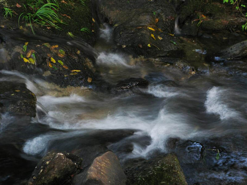 水的硬度過高有哪些危害（減少水硬度的方法）