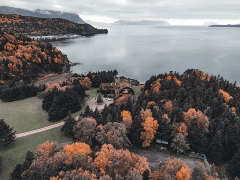 微生物快速檢測(cè)儀的工作原理（微生物快速檢測(cè)儀顯著優(yōu)勢(shì)）
