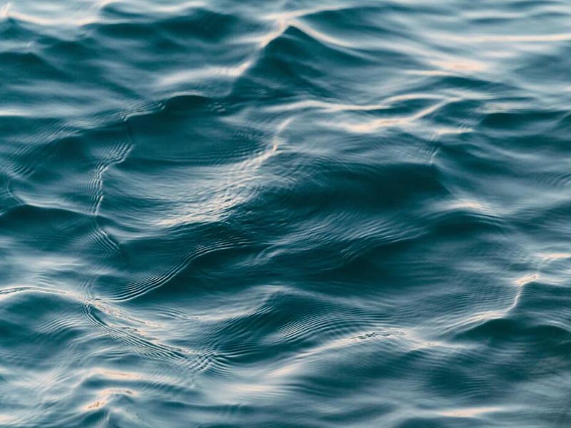 污水排放管理制度的重要性（污水排放管理制度的實施）