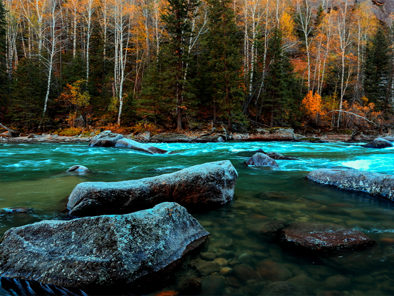 紅外測油儀校準步驟及頻率（紅外測油儀技術參數）