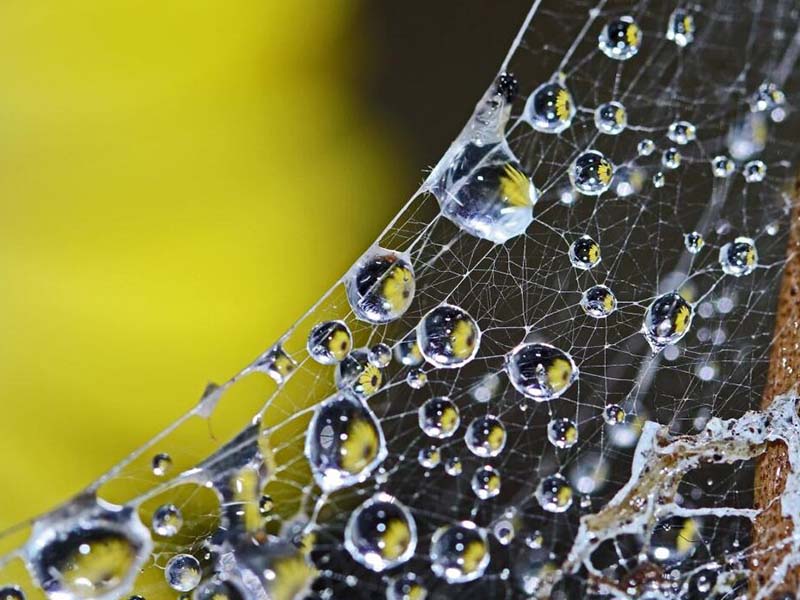 水質(zhì)余氯檢測儀使用方法