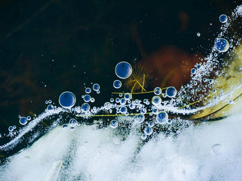 水質微生物檢測基本原理(水質常規微生物檢測指標有哪些)