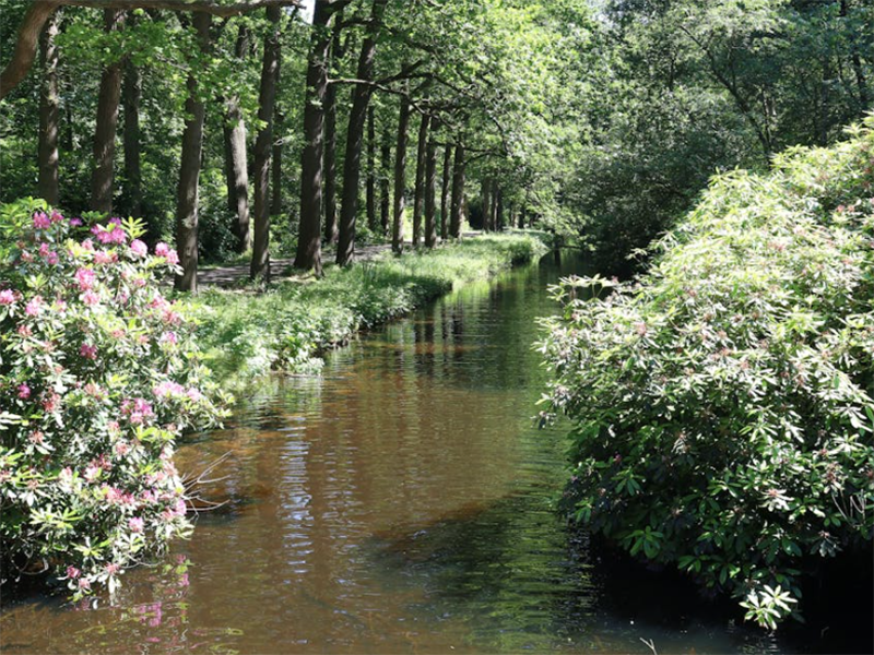水中藍綠藻的特性與危害?(藍綠藻的檢測與識別?)
