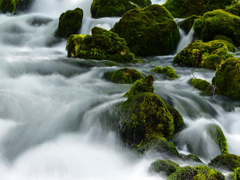 氨氮快速檢測(cè)儀需要具備哪些功能