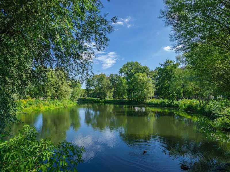 水體富營養化有哪些危害