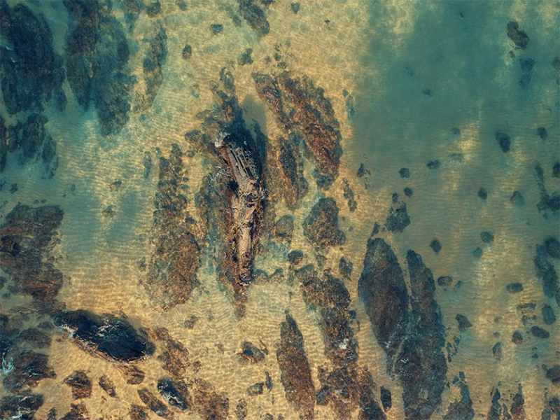 全自動紅外測油儀原理(全自動紅外測油儀使用注意事項)