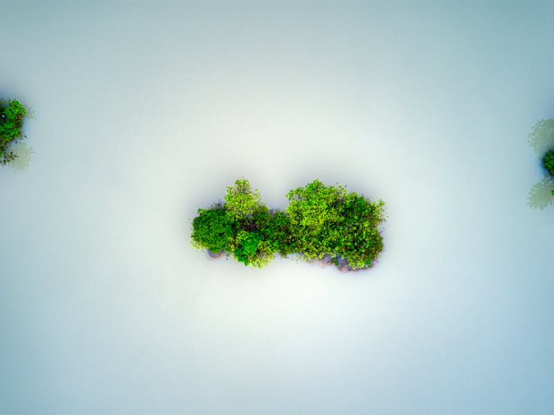 如何正確保養(yǎng)COD快速測(cè)定儀(COD快速測(cè)定儀操作指南)